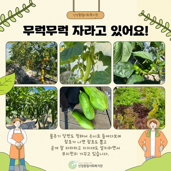 966107bd0e982dec4e07a92fdd374e3f_1752548