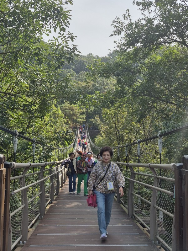 43895fea66789144fa56a011abe3a4bd_1759390