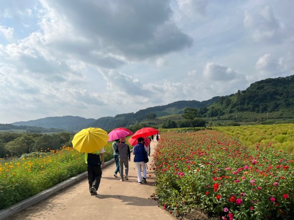 43895fea66789144fa56a011abe3a4bd_1759390