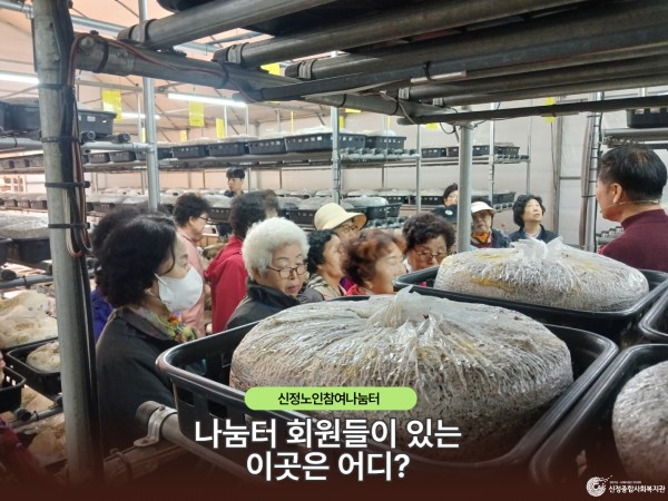 aa0f2b378f2fa50ab55318494fbba357_1761564