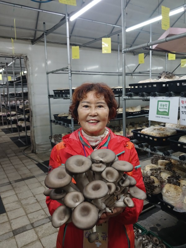 aa0f2b378f2fa50ab55318494fbba357_1761564