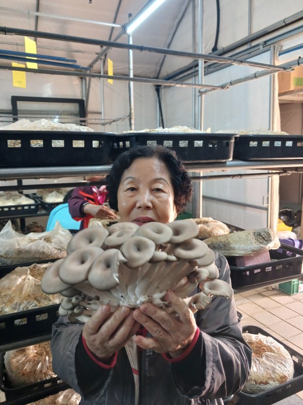 aa0f2b378f2fa50ab55318494fbba357_1761564