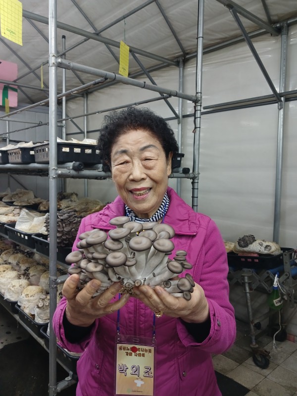 aa0f2b378f2fa50ab55318494fbba357_1761564