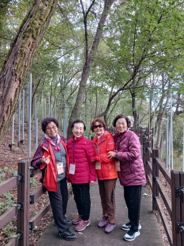 aa0f2b378f2fa50ab55318494fbba357_1761565